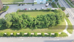 lush-acres photo thumbnail #2